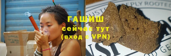 хмурый Магас