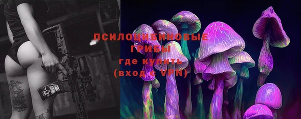 индика Липки