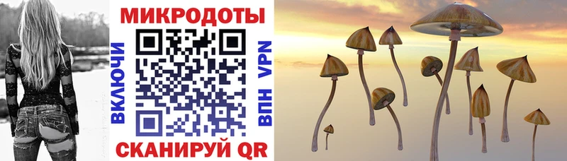 Купить где  Нарткала  Псилоцибиновые грибы мухоморы 